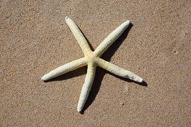 《FUMES》Steam试玩上线 世纪末武装战车混战